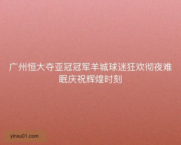 广州恒大夺亚冠冠军羊城球迷狂欢彻夜难眠庆祝辉煌时刻
